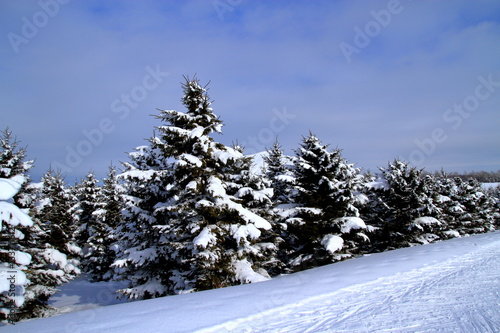 Sapporo's winter scene