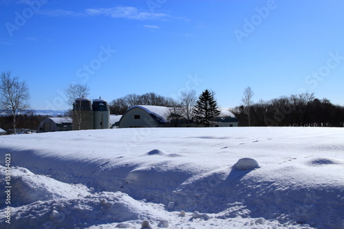 Sapporo suburbs of winter scenery © tasch