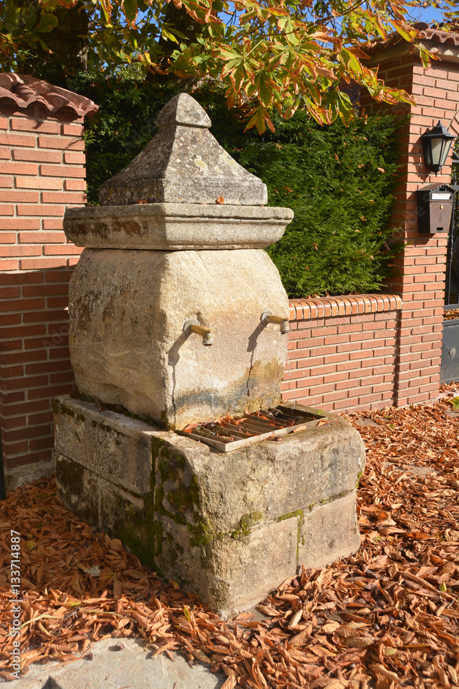 Obraz premium agua corriendo en una fuente de piedra