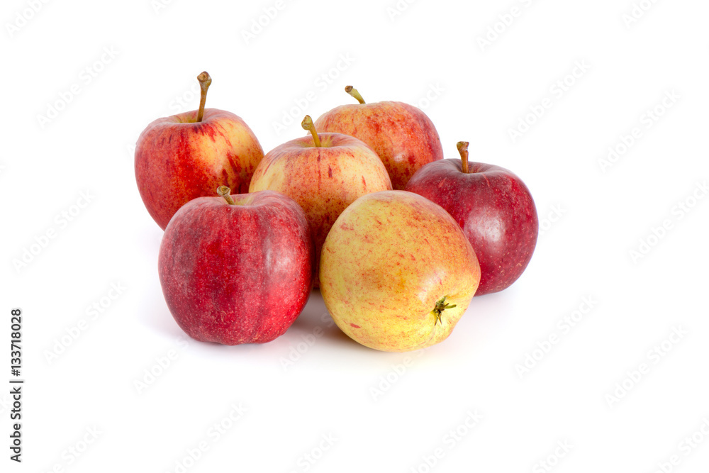 Apples Apples
