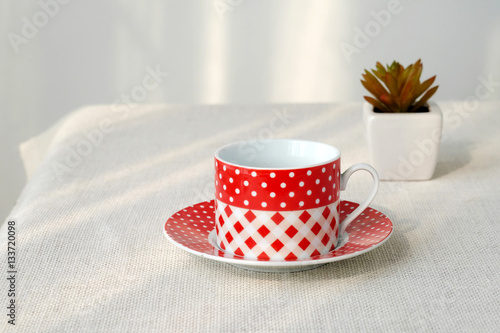 Red and white coffee cup and small tree pot on  table