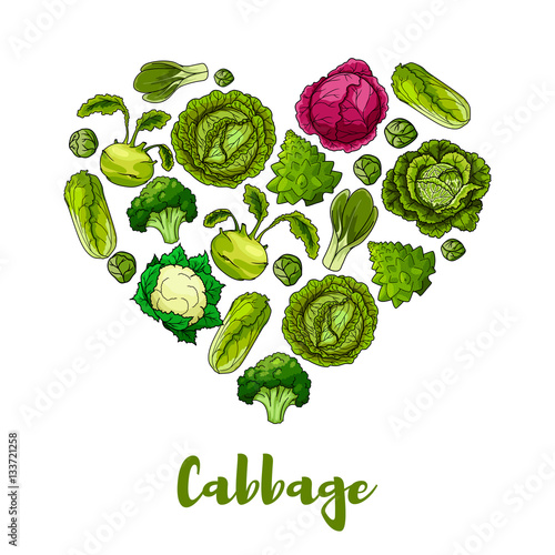 Cabbage vegetable heart shape vector poster