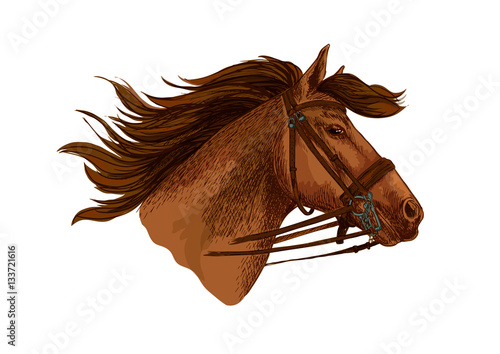 Horse in bridle, running mustang head vector