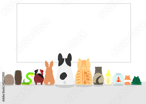 pet animals looking large blank board, rear view