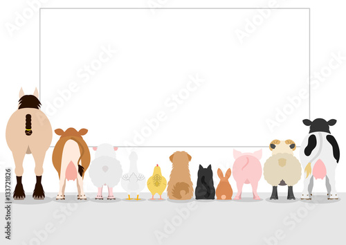 Fotomurale farm animals looking large blank board, rear view