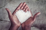 Hands holding rice
