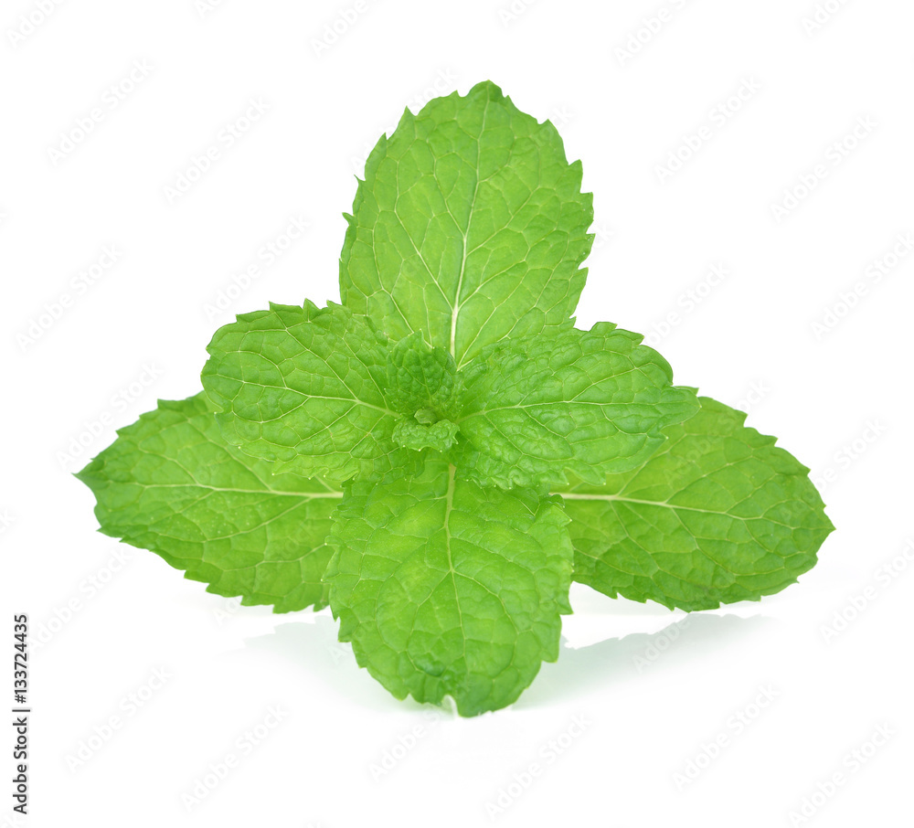 Fresh mint leafs isolated on a white background Fresh mint leafs isolated on a white background