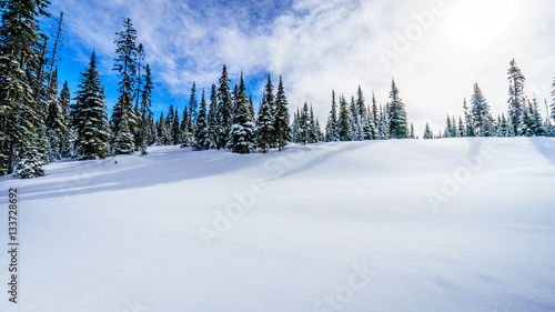 Deep Snow Pack in the High Alpine in a Winter Landscape on the Ski Hills of Sun Peaks in the Shuswap Highlands of central British Columbia, Canada © hpbfotos