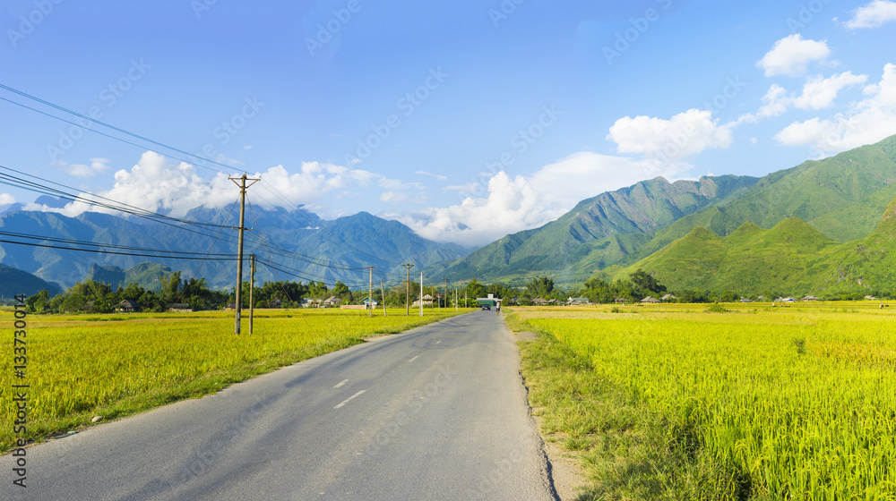 Rural road in Vietnam