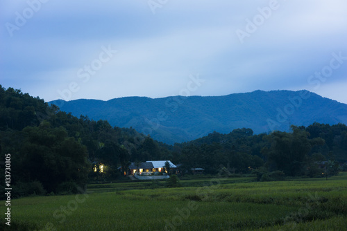 Small house nearby rice field at twilight