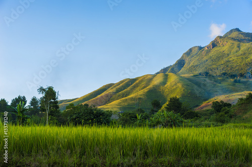 Vietnam rural scene with rice paddy field, mountain and blue sky at sunset time © Hanoi Photography