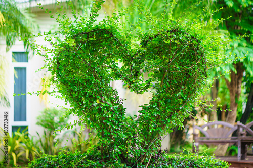 Heart shape bush in the park