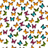 illustration of a colorful butterfly