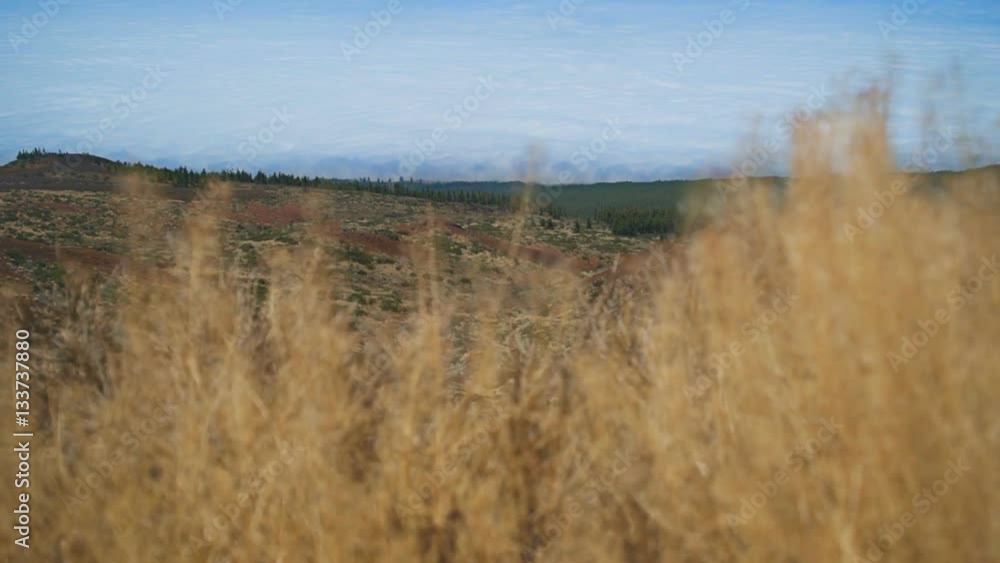 The camera rises from the grass. In the background, clouds and coast The camera rises from the grass. In the background, clouds and coast