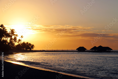 Dominicana