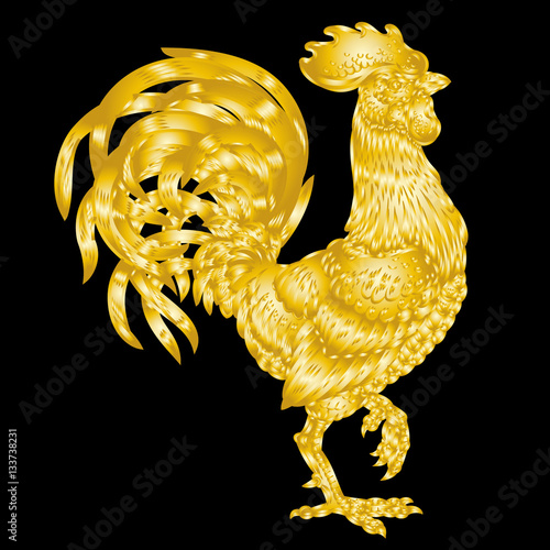 Vector illustration golden rooster on black background