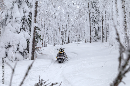 Snowmobile in forest