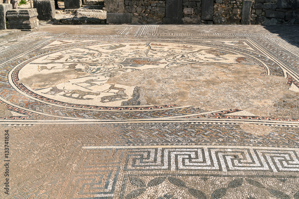 Orpheus mosaic in ruins of roman town Volubilis near Meknes, Morocco

