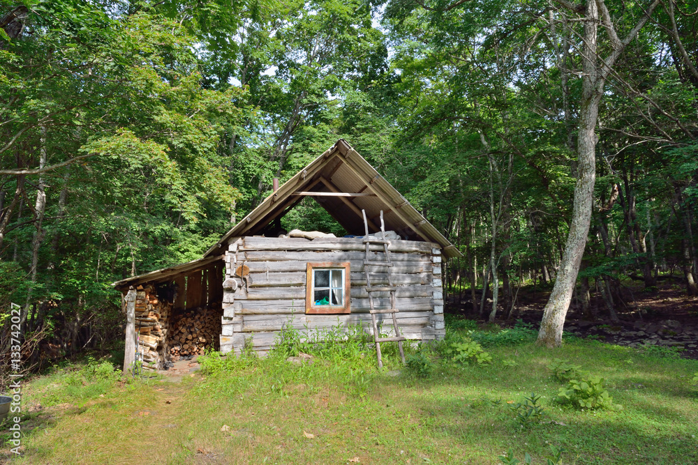 Cabin in forest 3 Cabin in forest 3