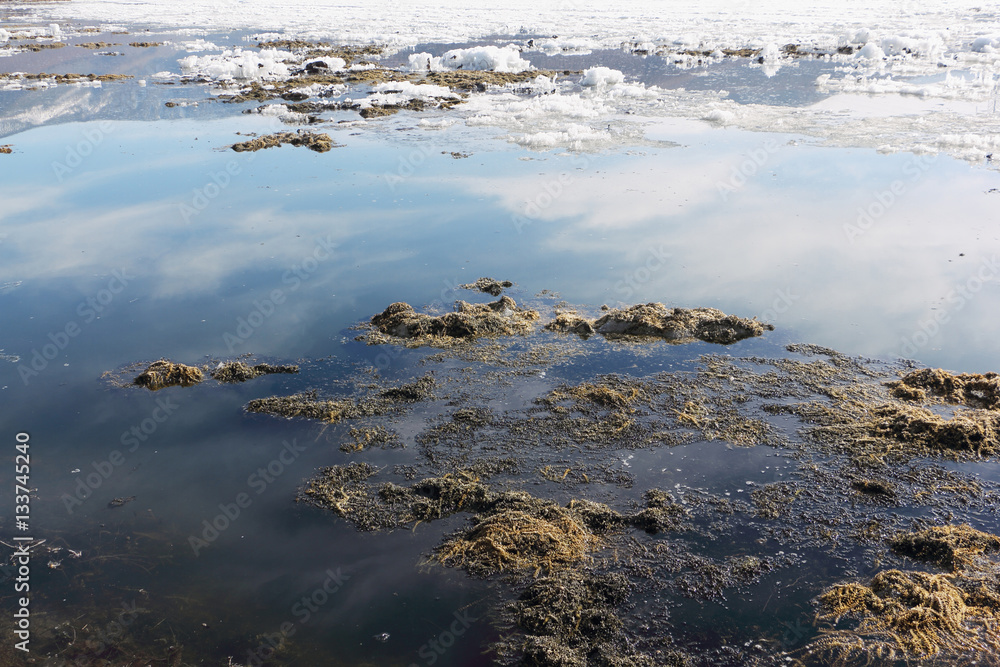 Obraz premium Algae and ice on the thawing lake in the spring, Baikal, Siberia