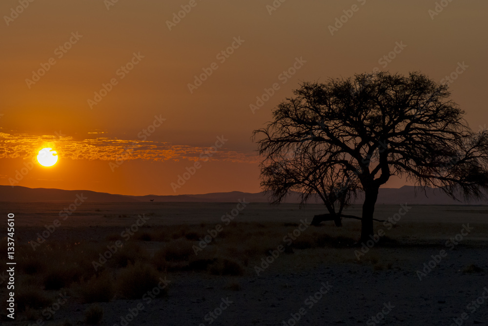 Namib Desert, Namib-Naukluft National Park of Namibia. Namib Desert, Namib-Naukluft National Park of Namibia.