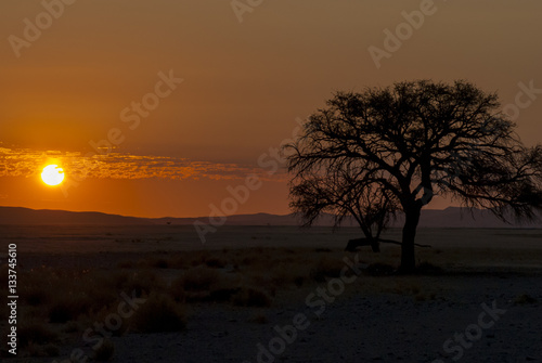 Namib Desert, Namib-Naukluft National Park of Namibia.