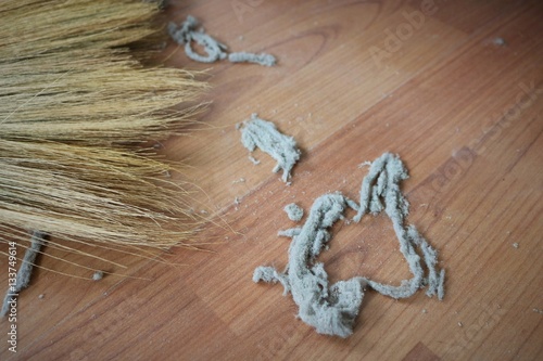 Fényképezés Close-up of dust on the wooden floor.