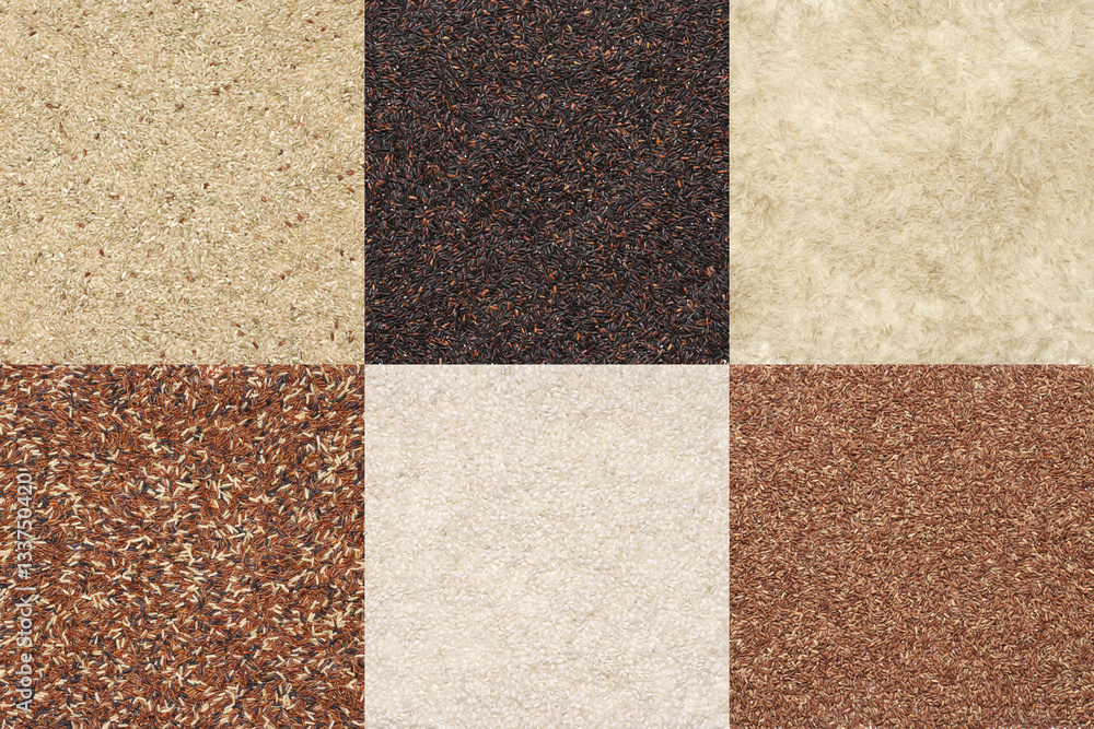 Fototapeta premium Various rice set