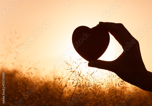 Fotografie I love summer concept.