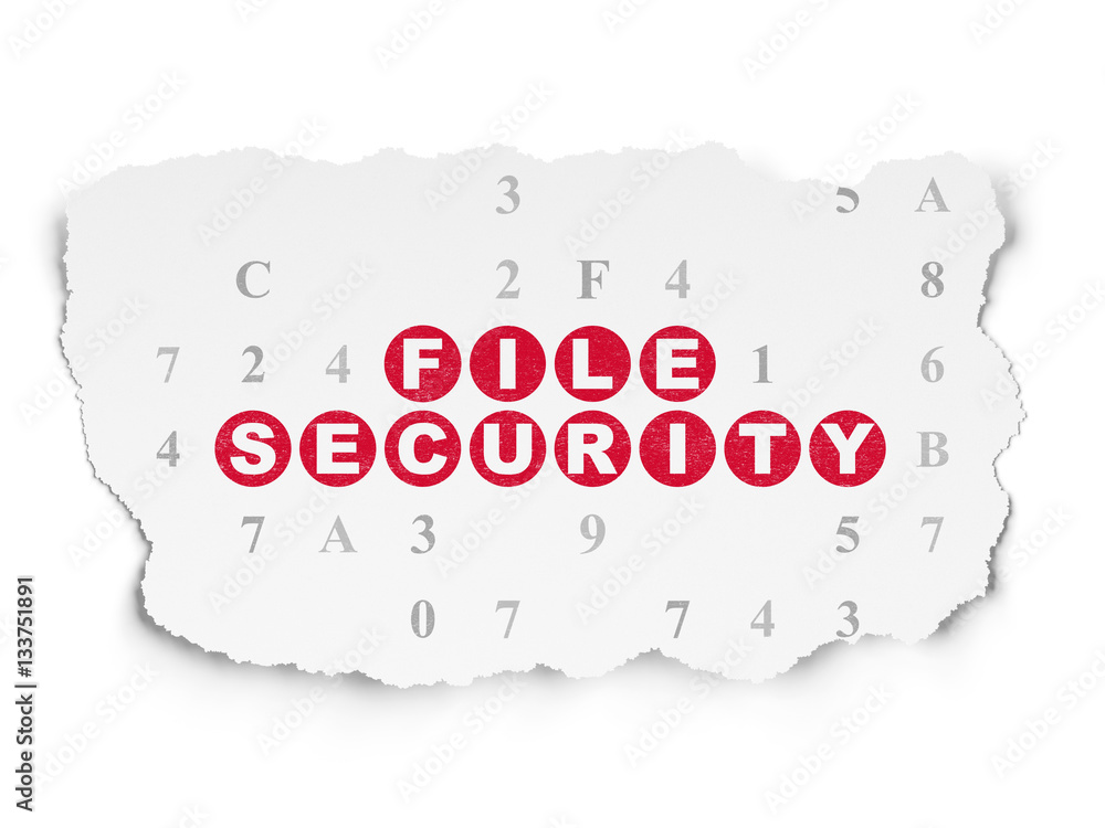Security concept: File Security on Torn Paper background