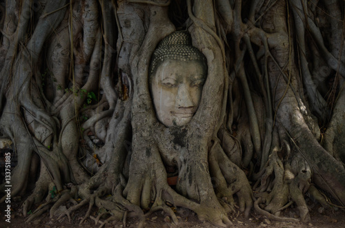 Wat Mahathat in Ayutthaya / Thailand 