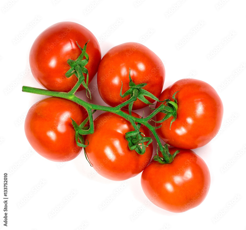tomatoes on white background tomatoes on white background