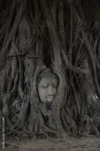 Wat Mahathat in Ayutthaya / Thailand 