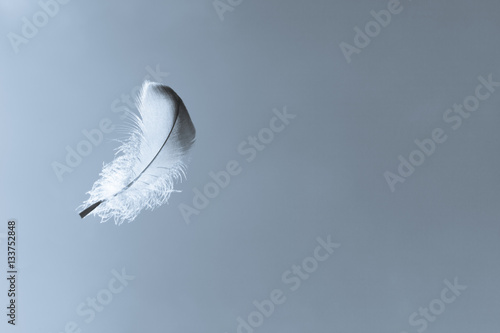 Feather floating in the sky. Peace, relaxation and dream concept.