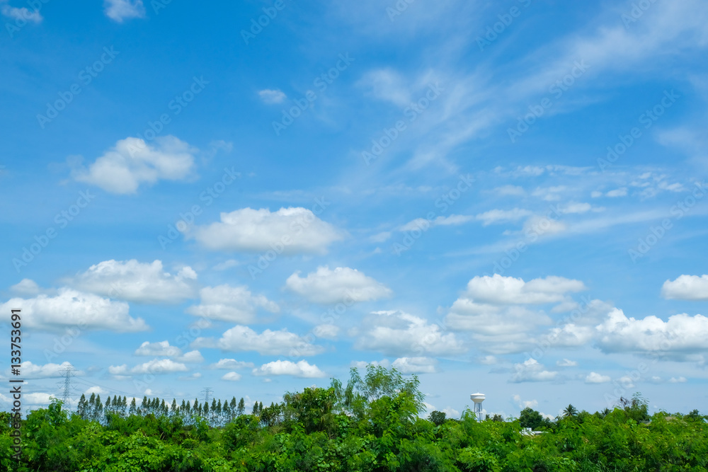 blue sky with cloud  and tree in Thailand