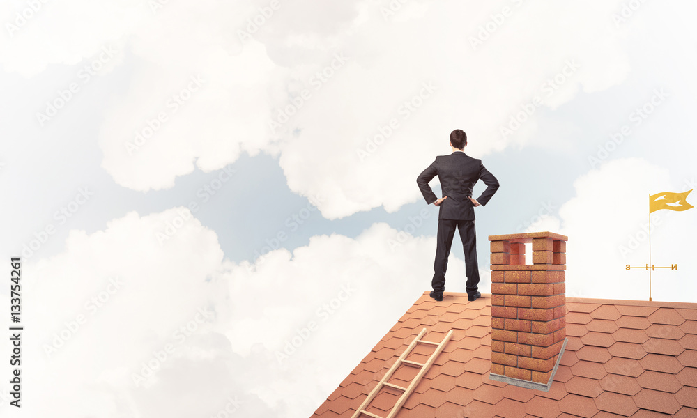Mister boss on brick roof with arms akimbo. Mixed media Mister boss on brick roof with arms akimbo. Mixed media