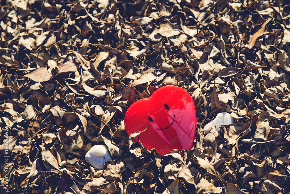 Fototapeta premium Smile of red heart in group dry leaves with sunlight. love smile valentine day concept