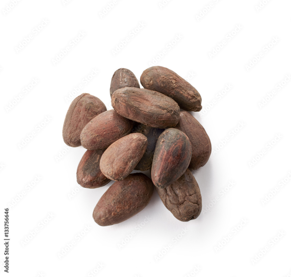 Obraz premium カカオ豆