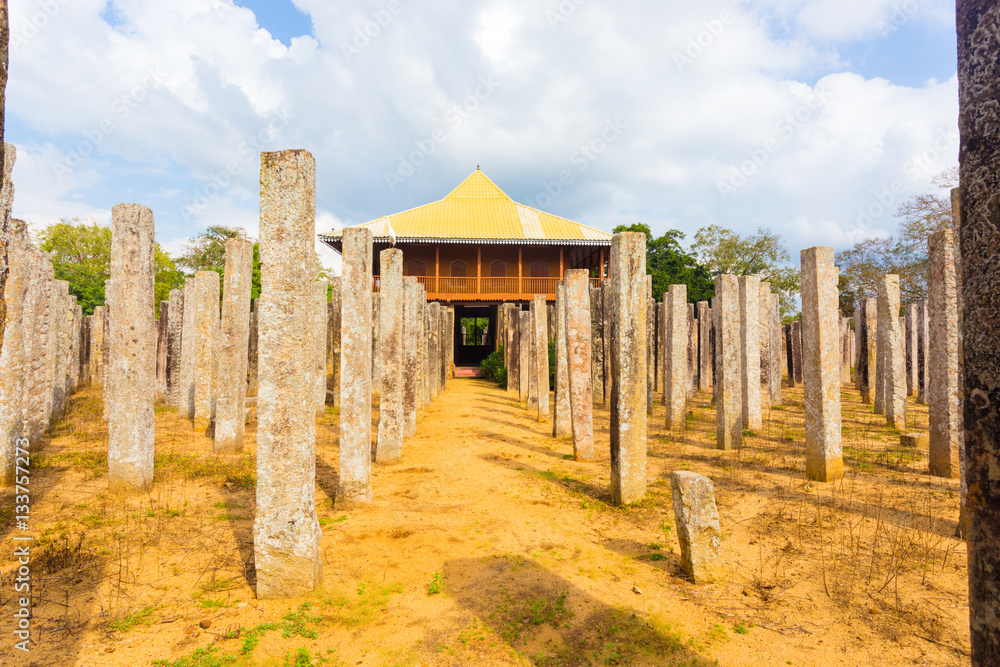 Anuradhapura Brazen Palace Stone Pillars Front H