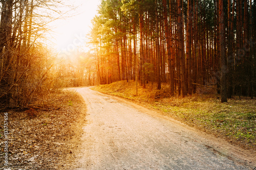Sun shining over road, path, walkway through forest. Sunset Sunrise