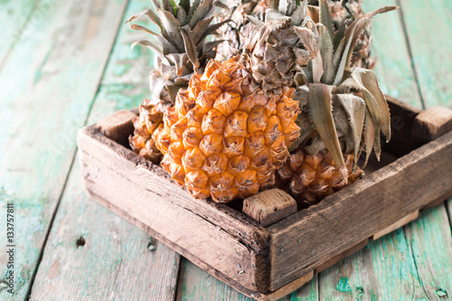 Ripe pineapple and baby pineapple on a wooden background, tropical fruits