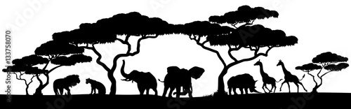 Photo Silhouette African Safari Animal Landscape Scene
