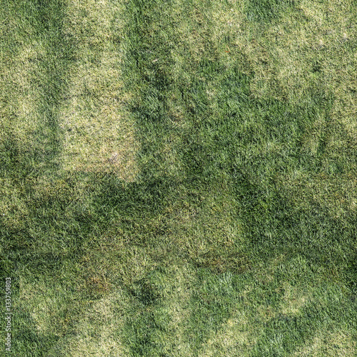 lawn grass, seamless texture,  pavement, tile horizontal and vertical