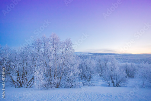 Cold landscape of Lapland winter