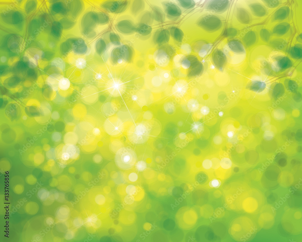 Vector green leaves on sunshine background, blurred effect. Vector green leaves on sunshine background, blurred effect.