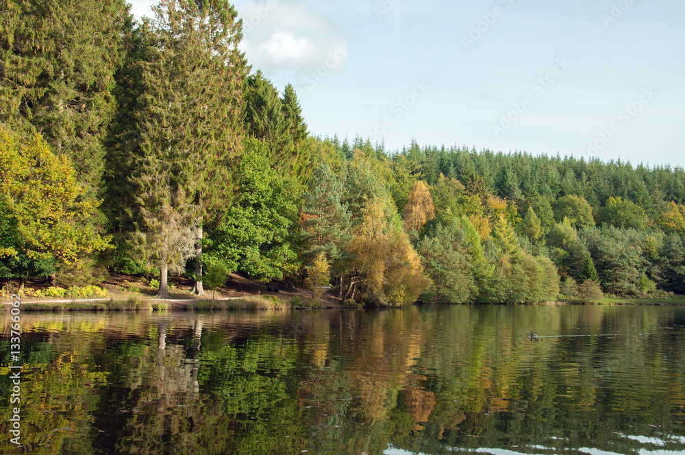 Autumn reflections in the Forest of Dean, England.