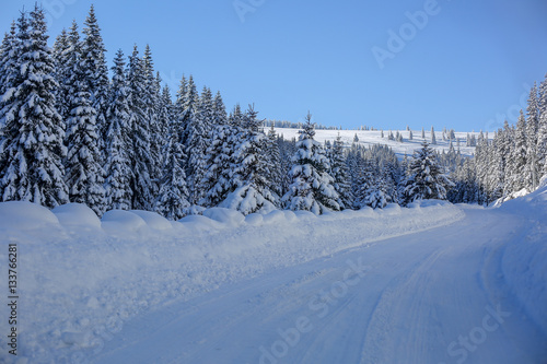 Nice snowy road with fir trees and blue skies