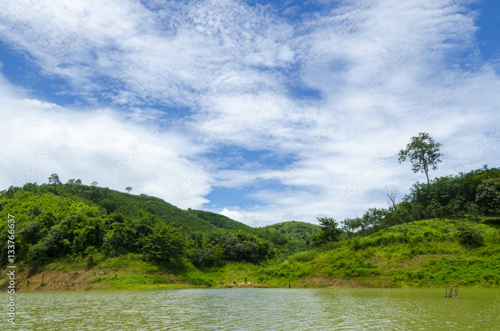 The field of tropical green forest, National park of Thailand