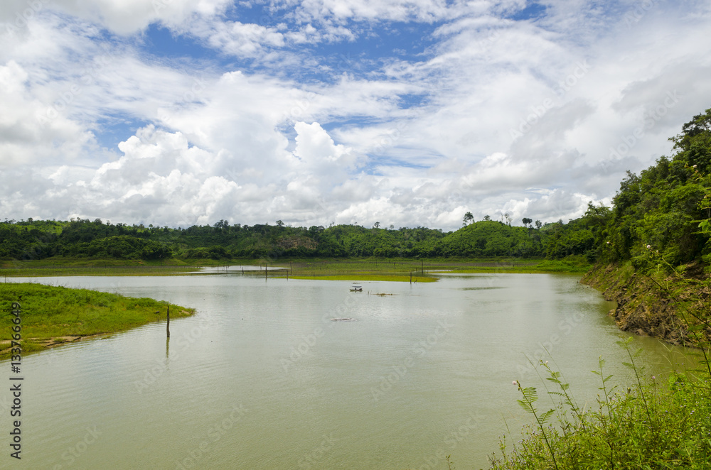 The field of tropical green forest, National park of Thailand