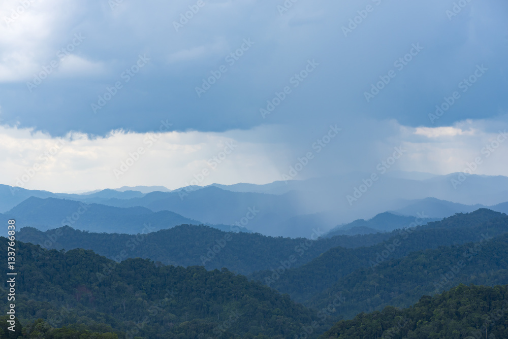 The field of tropical green forest, National park of Thailand Stock